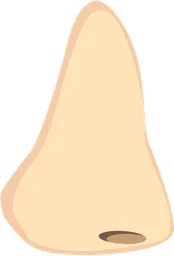 nose.webp